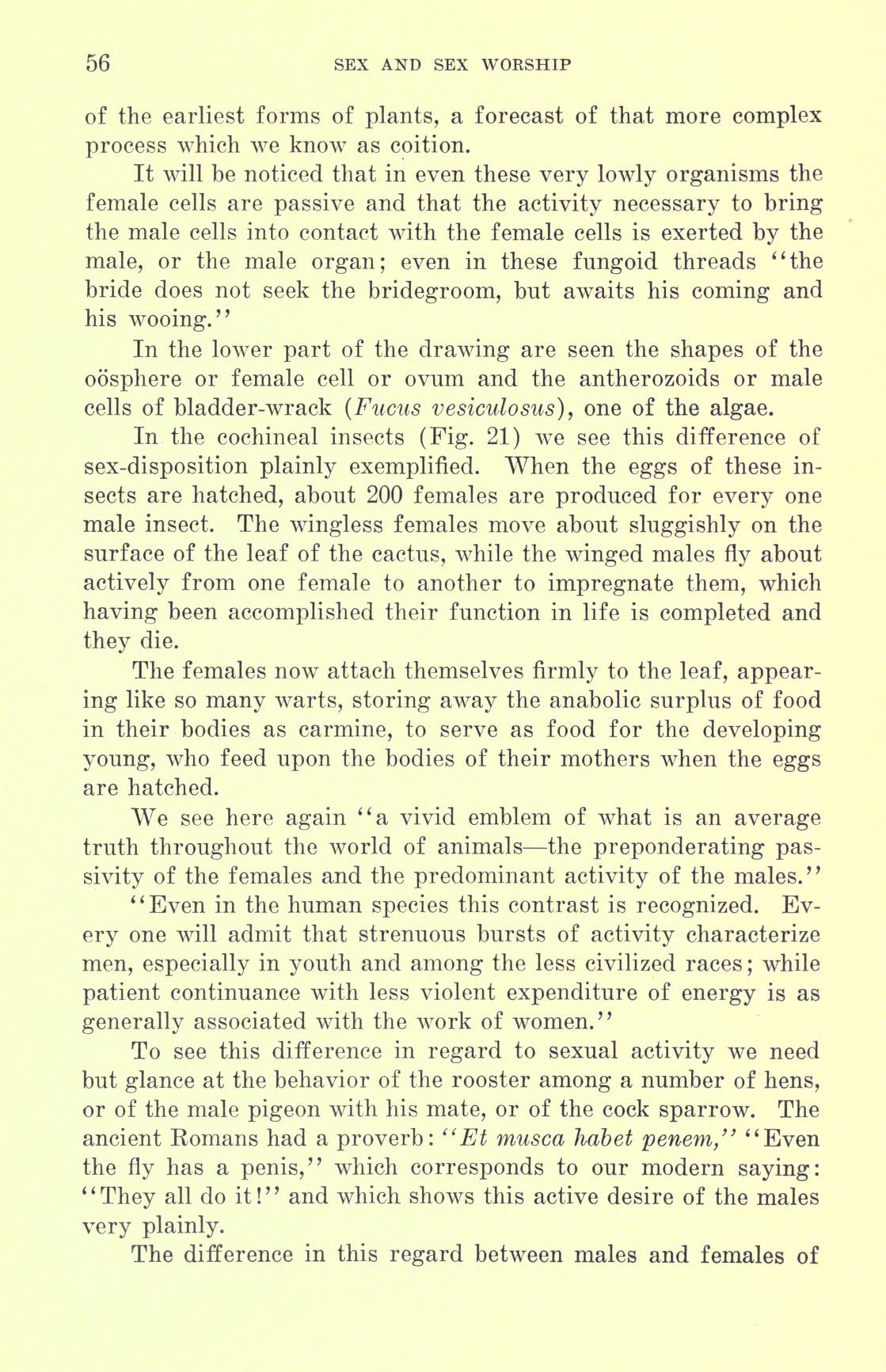 [Otto Augustus Wall] Sex and sex worship : (phallic worship) a scientific treatise on sex, its nature and function, and its influence on art, science, architecture, and religion--with special reference to sex worship and symbolism 76