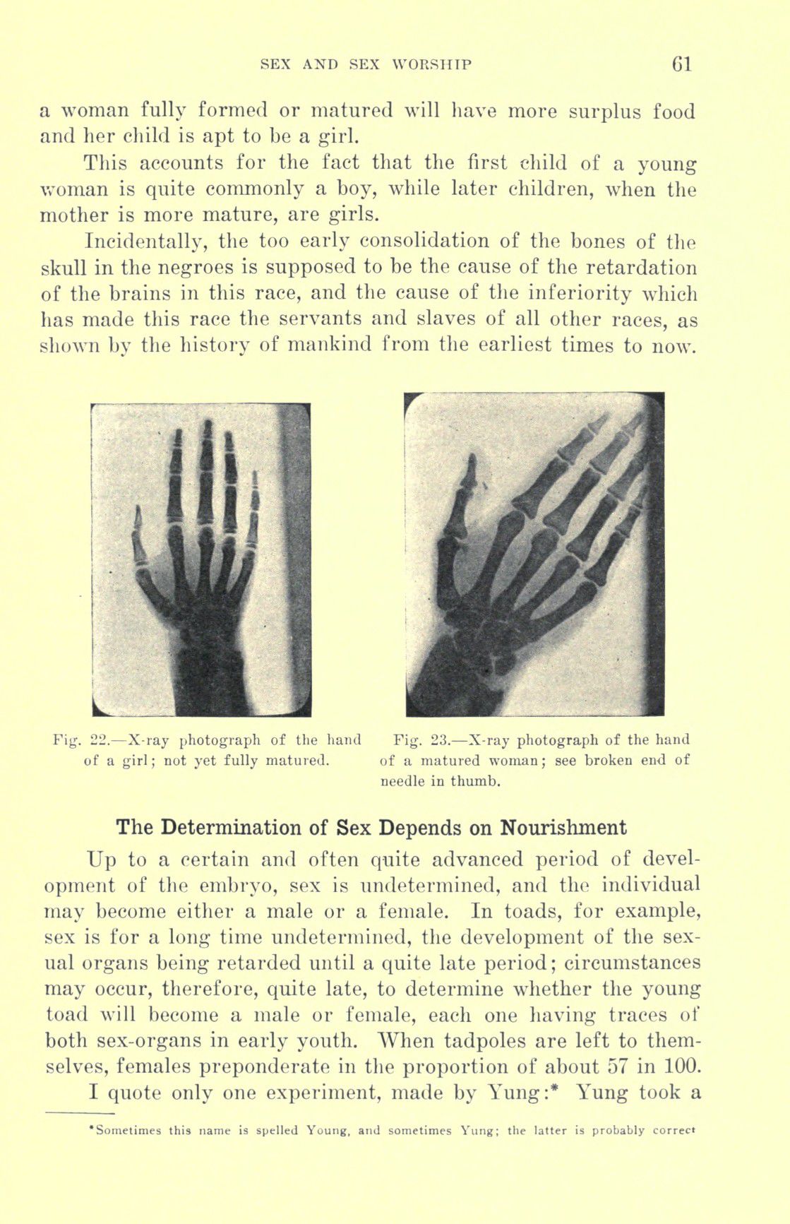 [Otto Augustus Wall] Sex and sex worship : (phallic worship) a scientific treatise on sex, its nature and function, and its influence on art, science, architecture, and religion--with special reference to sex worship and symbolism 81