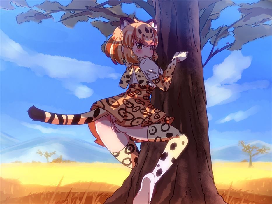 【Kemono Friends】Secondary erotic images that make you want to make Jaguar and Saddle Rich H 1