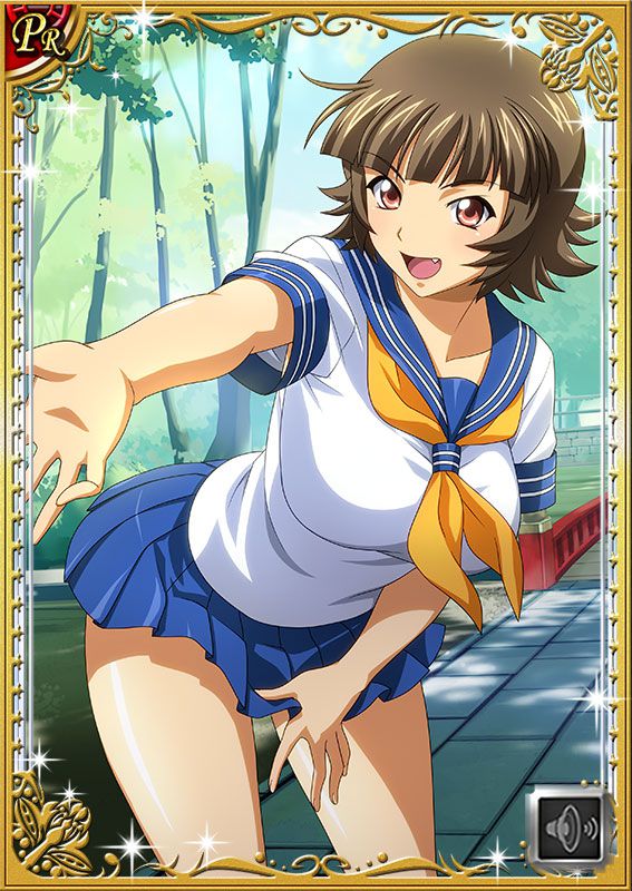 Ikkitousen Cards Coleccyion  Chouhi Ekitoku set 233