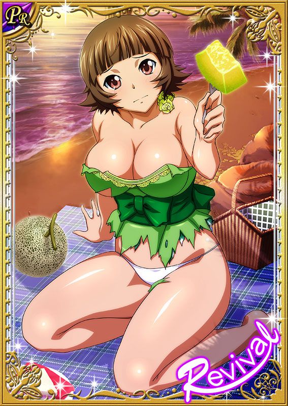 Ikkitousen Cards Coleccyion  Chouhi Ekitoku set 245