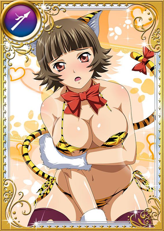 Ikkitousen Cards Coleccyion  Chouhi Ekitoku set 418