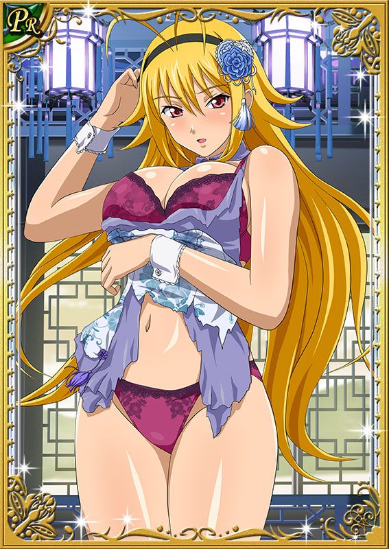 Ikkitousen Cards Coleccyion  Chousen set 12