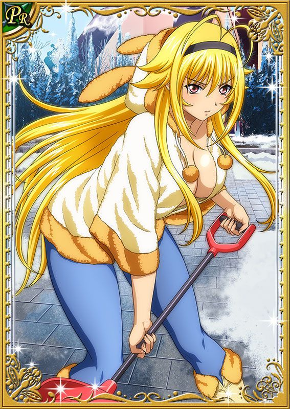 Ikkitousen Cards Coleccyion  Chousen set 200