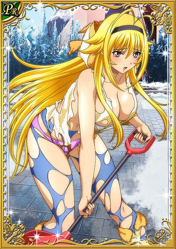 Ikkitousen Cards Coleccyion  Chousen set 201