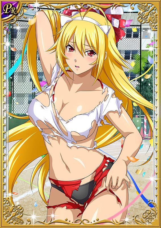 Ikkitousen Cards Coleccyion  Chousen set 219