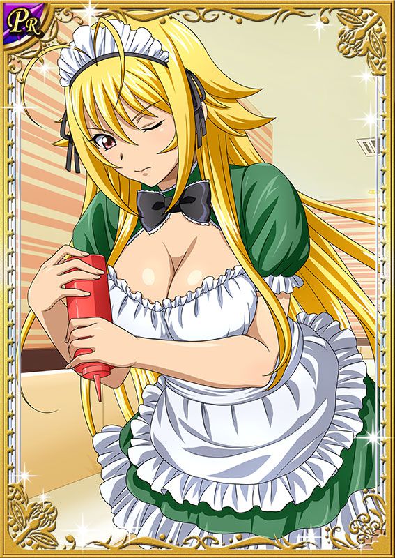 Ikkitousen Cards Coleccyion  Chousen set 223