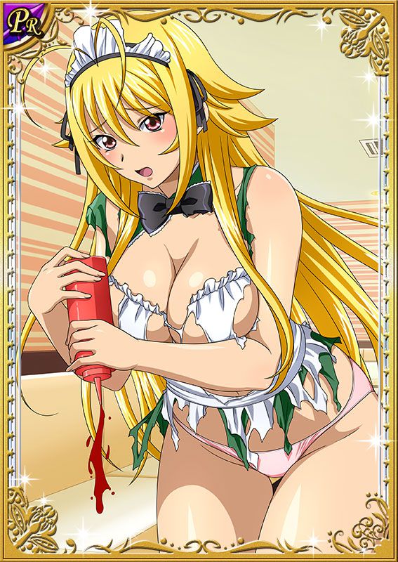 Ikkitousen Cards Coleccyion  Chousen set 224