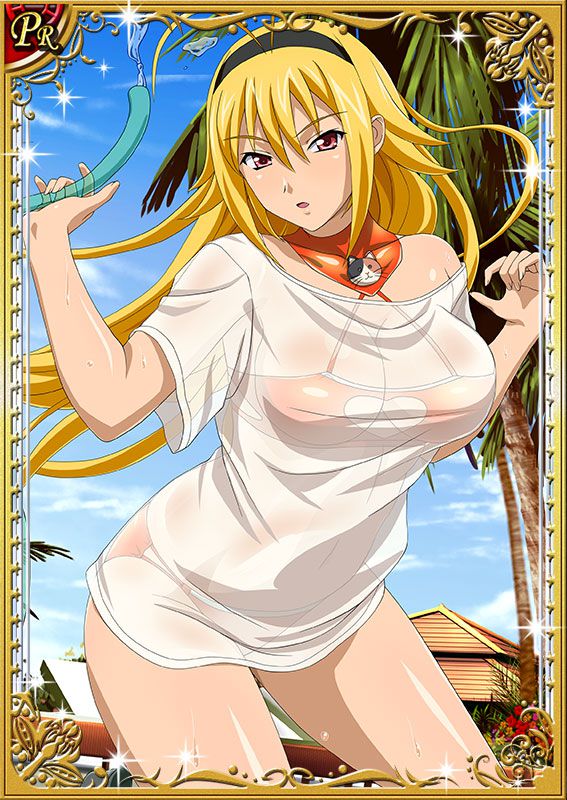 Ikkitousen Cards Coleccyion  Chousen set 248