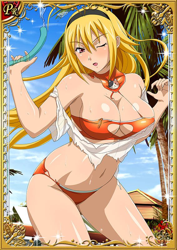 Ikkitousen Cards Coleccyion  Chousen set 249