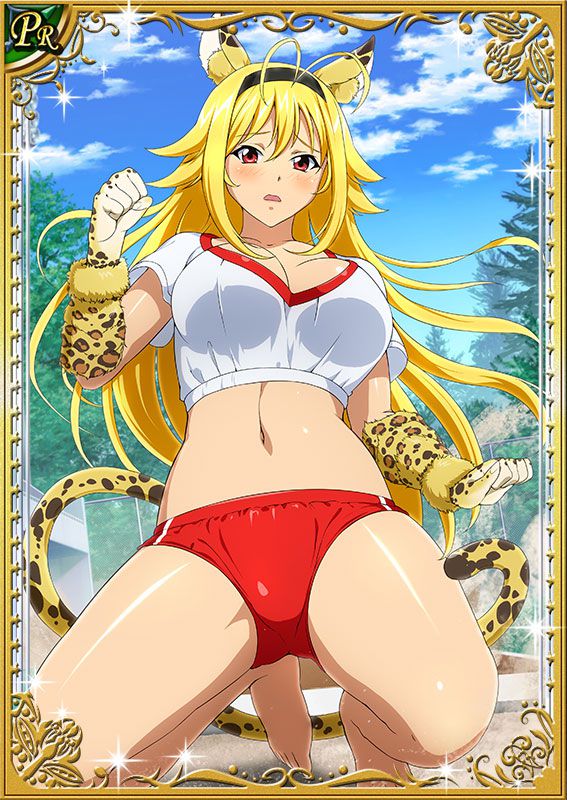 Ikkitousen Cards Coleccyion  Chousen set 285