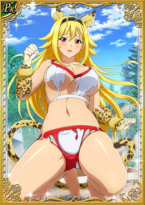 Ikkitousen Cards Coleccyion  Chousen set 286