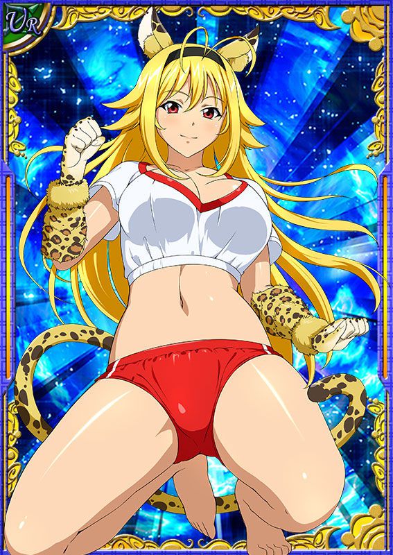 Ikkitousen Cards Coleccyion  Chousen set 287