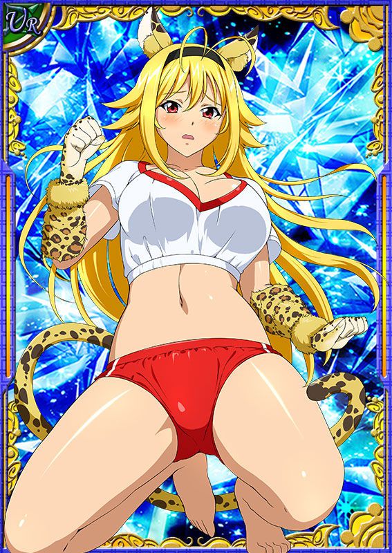 Ikkitousen Cards Coleccyion  Chousen set 288