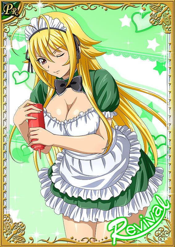 Ikkitousen Cards Coleccyion  Chousen set 292