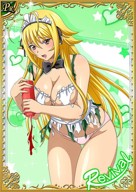 Ikkitousen Cards Coleccyion  Chousen set 293