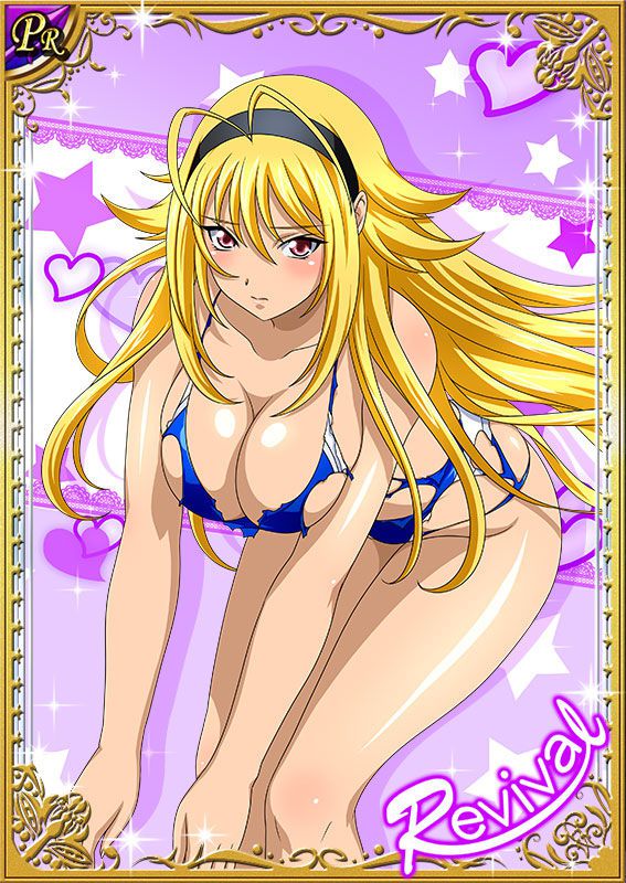 Ikkitousen Cards Coleccyion  Chousen set 305