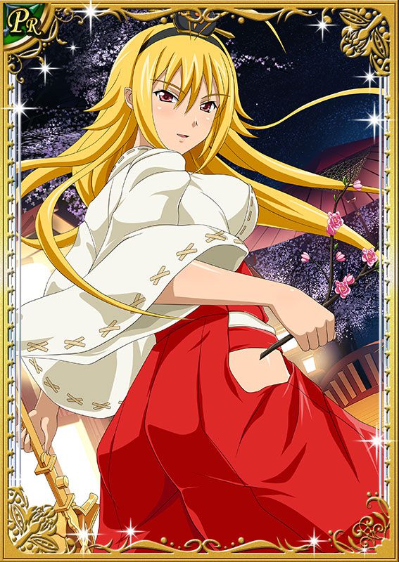 Ikkitousen Cards Coleccyion  Chousen set 42