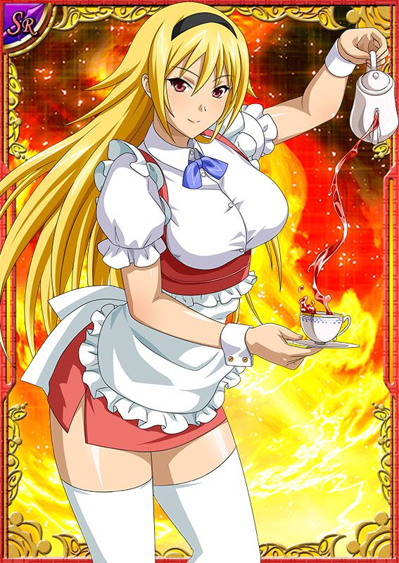 Ikkitousen Cards Coleccyion  Chousen set 49