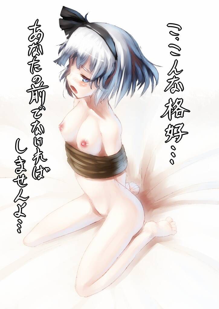 [Touhou Project] naughty illustrations 魄 youmu-chan of the soul 9