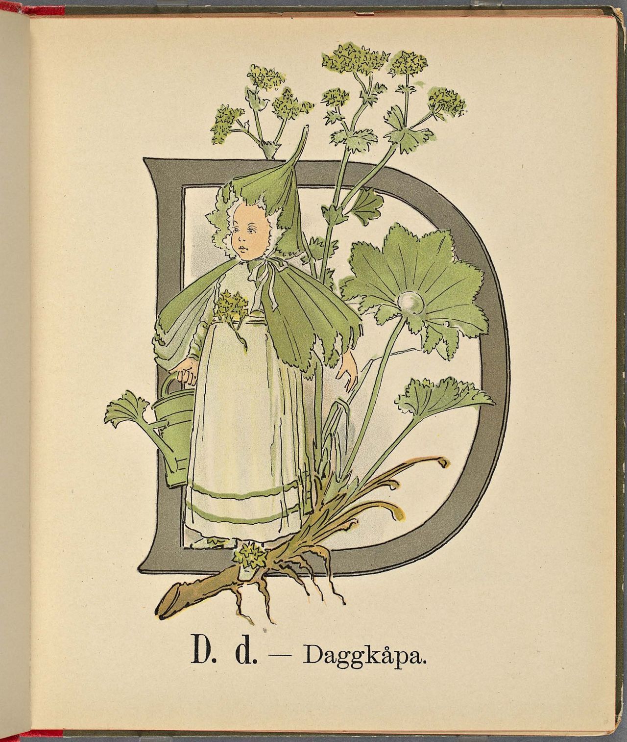 Project Runeberg, Nordic Authors／Ottilia Adelborg (1892), Prinsarnes Blomsteralfabet (Swedish) 13