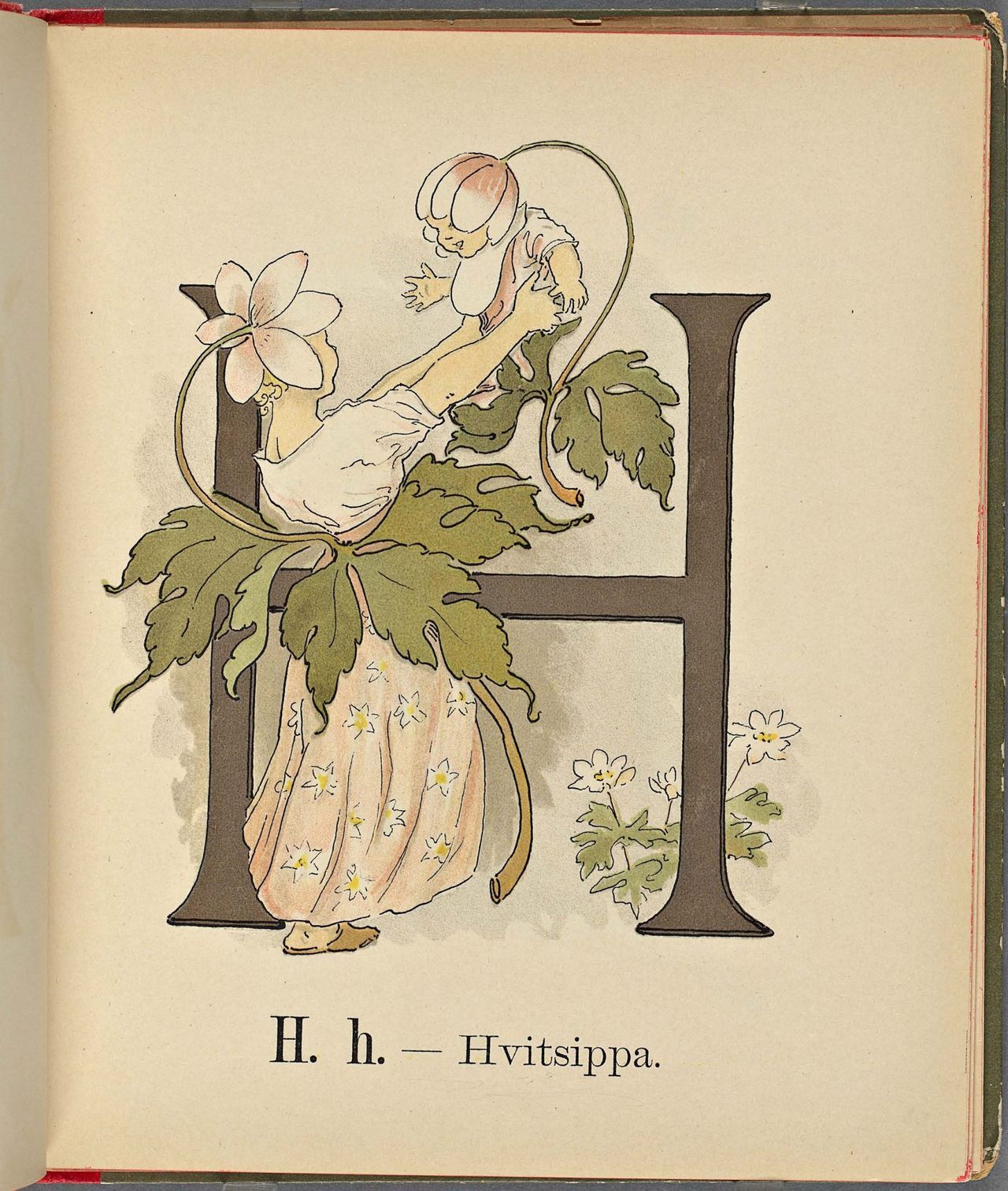 Project Runeberg, Nordic Authors／Ottilia Adelborg (1892), Prinsarnes Blomsteralfabet (Swedish) 21