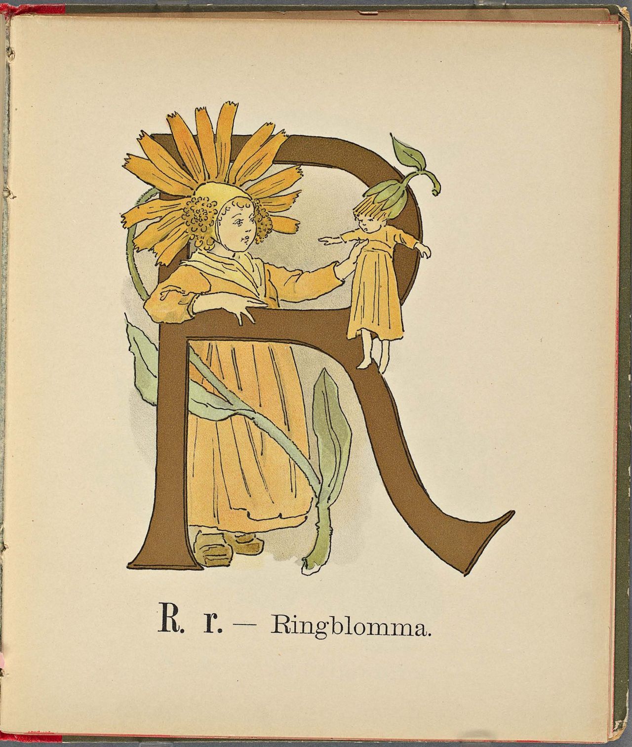 Project Runeberg, Nordic Authors／Ottilia Adelborg (1892), Prinsarnes Blomsteralfabet (Swedish) 41