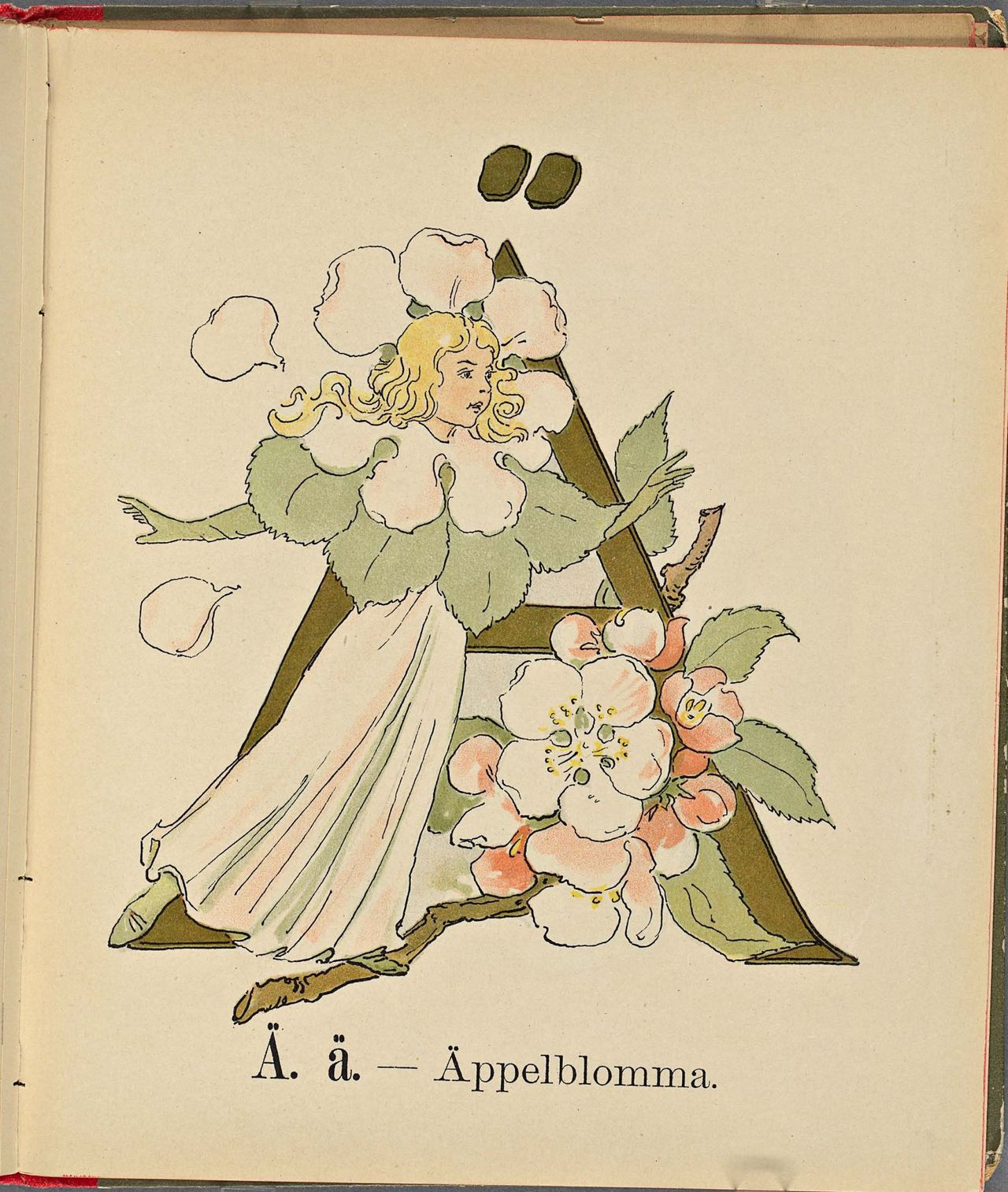 Project Runeberg, Nordic Authors／Ottilia Adelborg (1892), Prinsarnes Blomsteralfabet (Swedish) 61