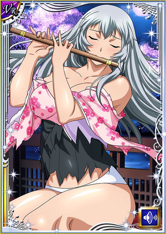 Ikkitousen Cards Coleccyion  Chou-un Shiryuu set 110