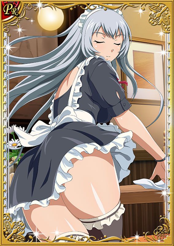 Ikkitousen Cards Coleccyion  Chou-un Shiryuu set 137