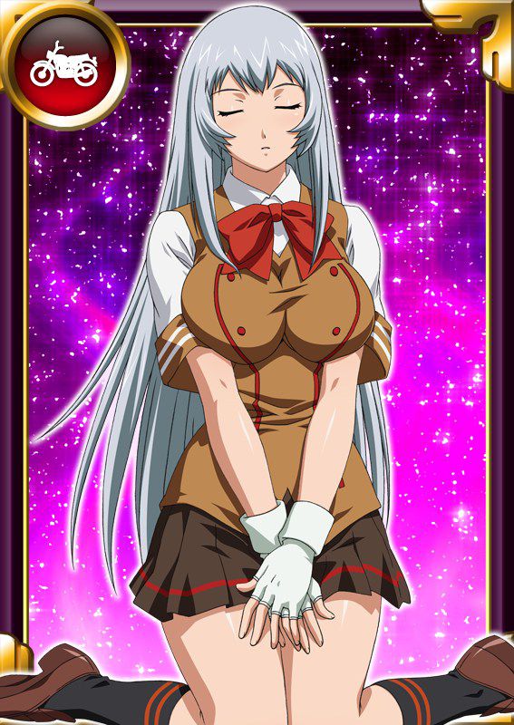 Ikkitousen Cards Coleccyion  Chou-un Shiryuu set 166