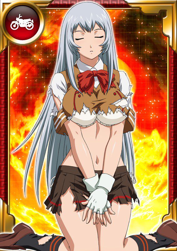 Ikkitousen Cards Coleccyion  Chou-un Shiryuu set 168