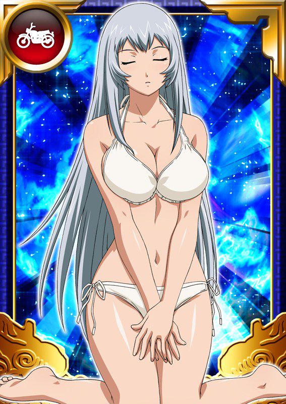 Ikkitousen Cards Coleccyion  Chou-un Shiryuu set 169