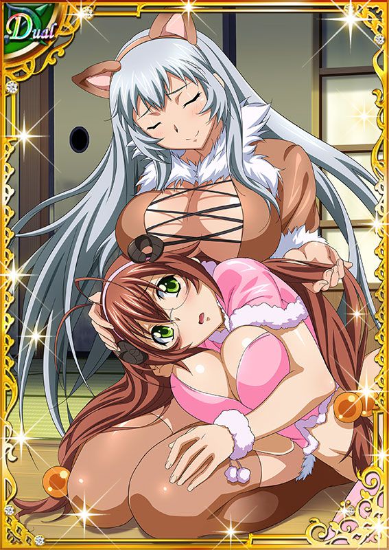 Ikkitousen Cards Coleccyion  Chou-un Shiryuu set 174