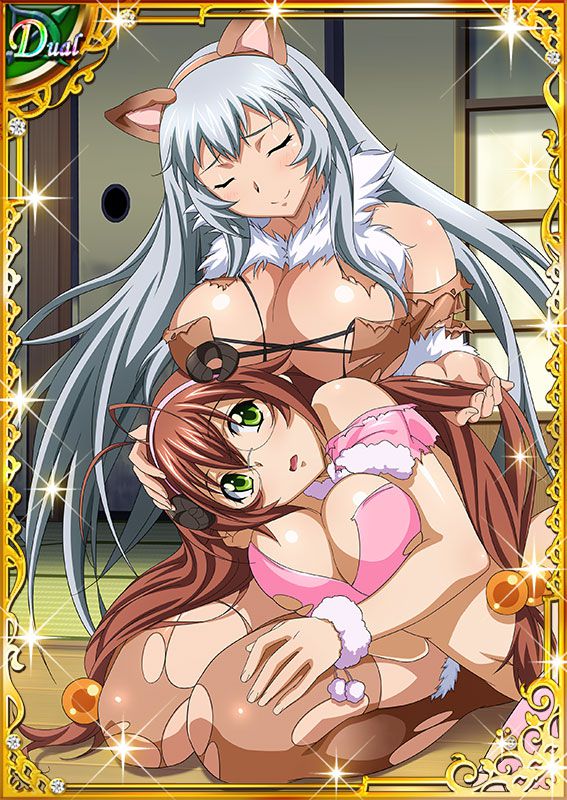 Ikkitousen Cards Coleccyion  Chou-un Shiryuu set 175