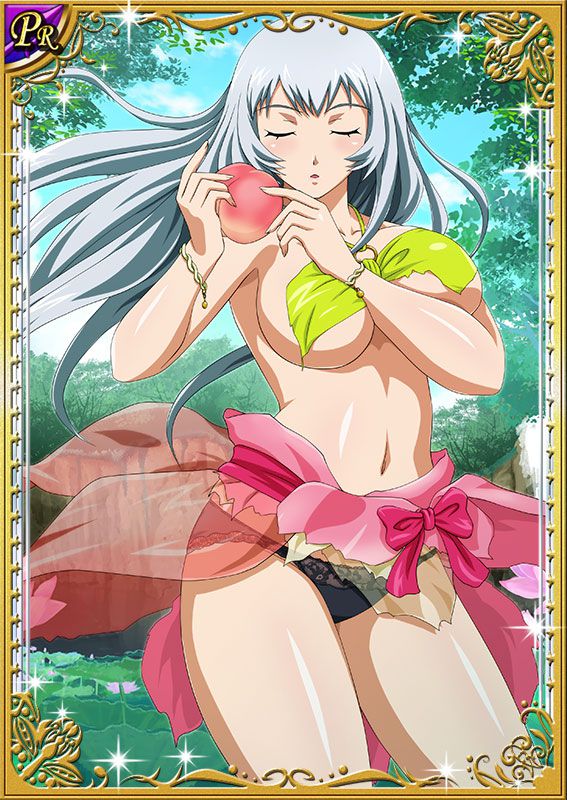 Ikkitousen Cards Coleccyion  Chou-un Shiryuu set 184