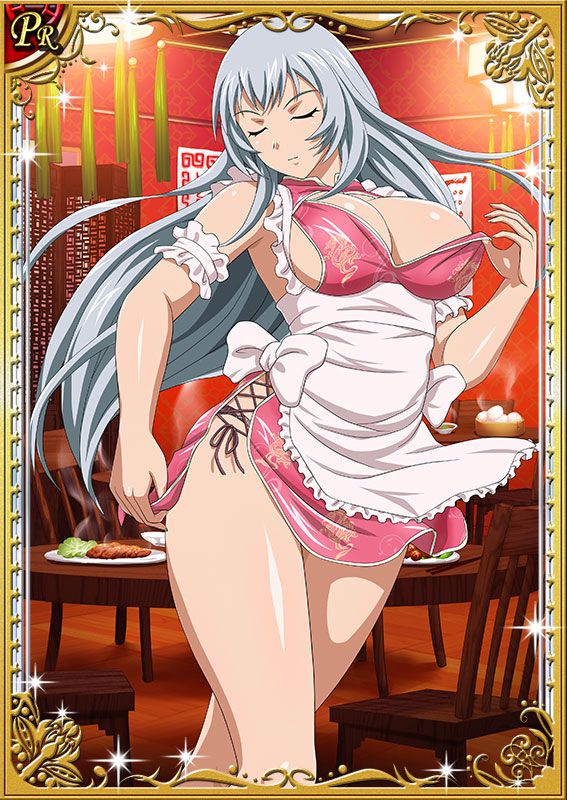 Ikkitousen Cards Coleccyion  Chou-un Shiryuu set 217