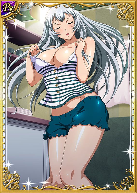 Ikkitousen Cards Coleccyion  Chou-un Shiryuu set 227