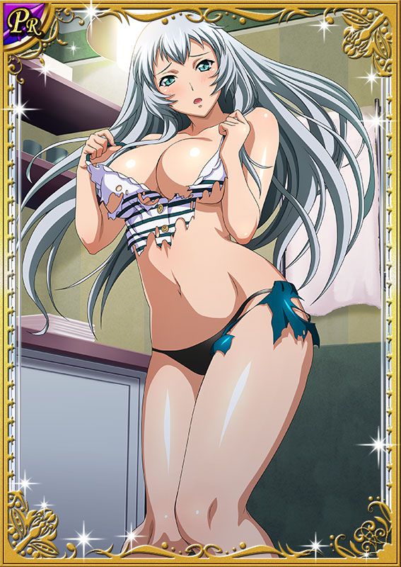 Ikkitousen Cards Coleccyion  Chou-un Shiryuu set 228