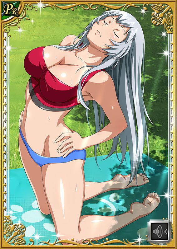 Ikkitousen Cards Coleccyion  Chou-un Shiryuu set 237