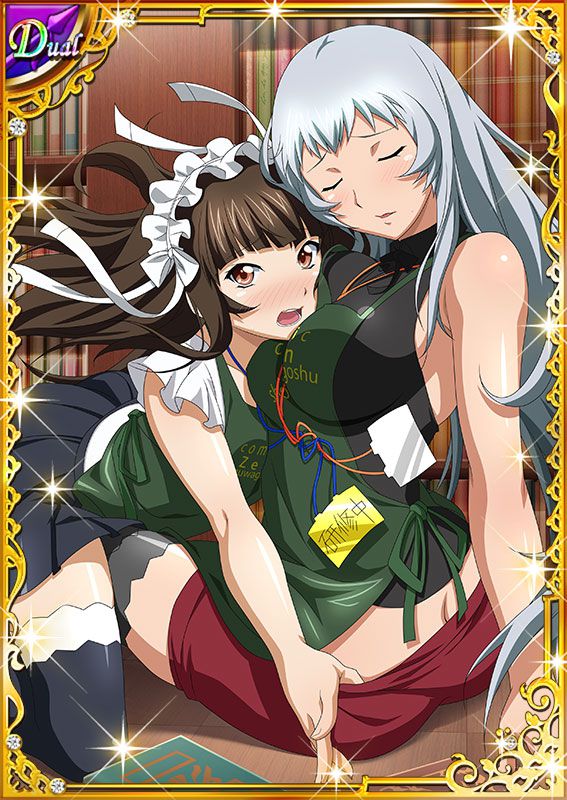 Ikkitousen Cards Coleccyion  Chou-un Shiryuu set 249