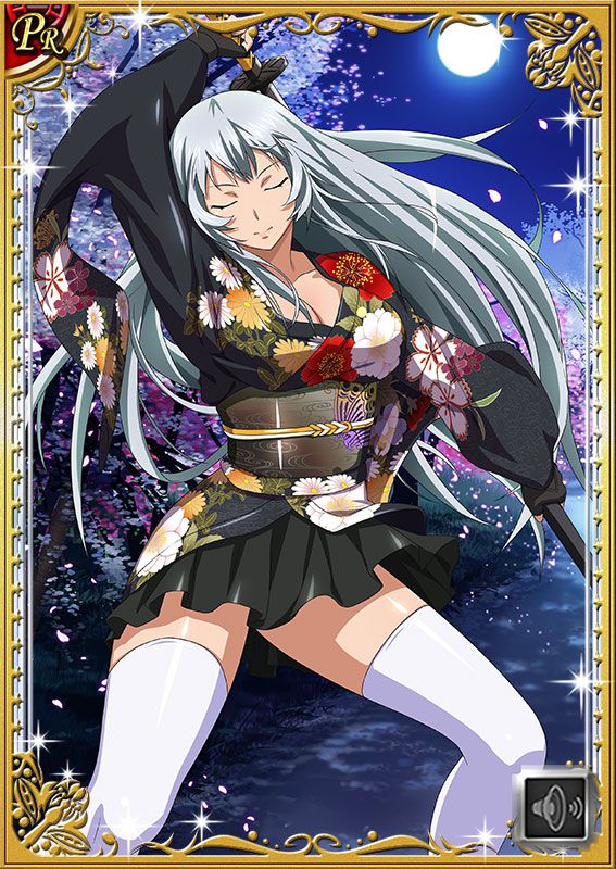 Ikkitousen Cards Coleccyion  Chou-un Shiryuu set 253