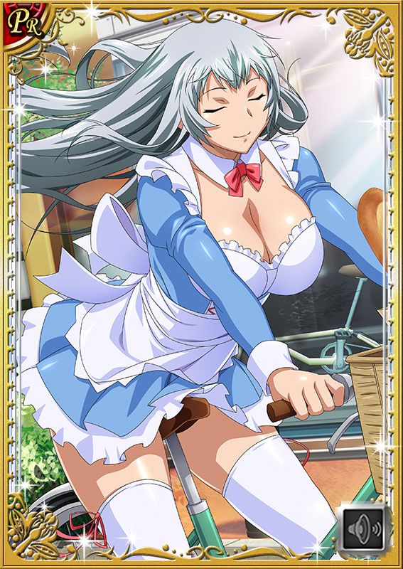 Ikkitousen Cards Coleccyion  Chou-un Shiryuu set 263