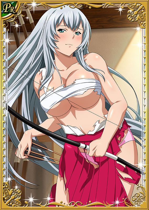 Ikkitousen Cards Coleccyion  Chou-un Shiryuu set 270