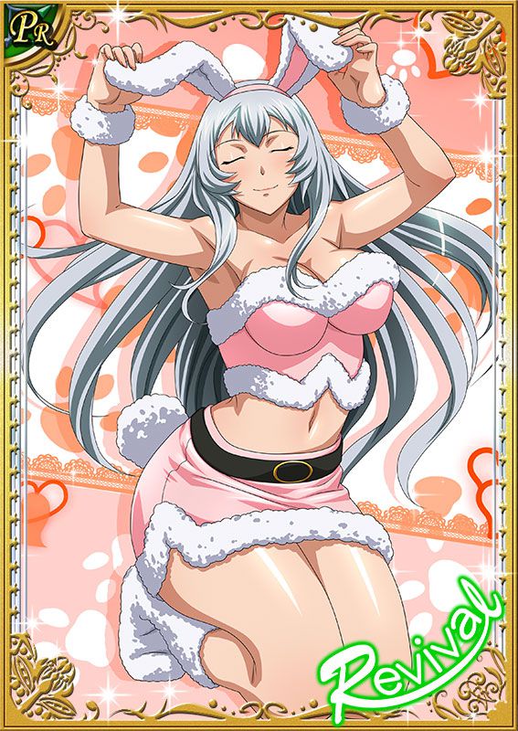 Ikkitousen Cards Coleccyion  Chou-un Shiryuu set 272