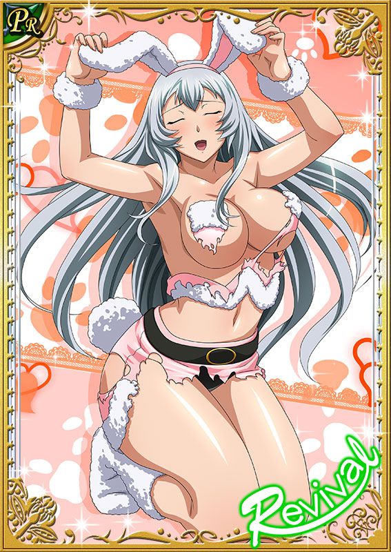 Ikkitousen Cards Coleccyion  Chou-un Shiryuu set 273