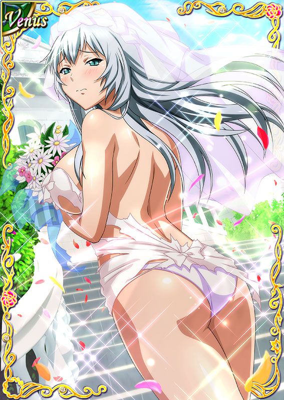 Ikkitousen Cards Coleccyion  Chou-un Shiryuu set 277