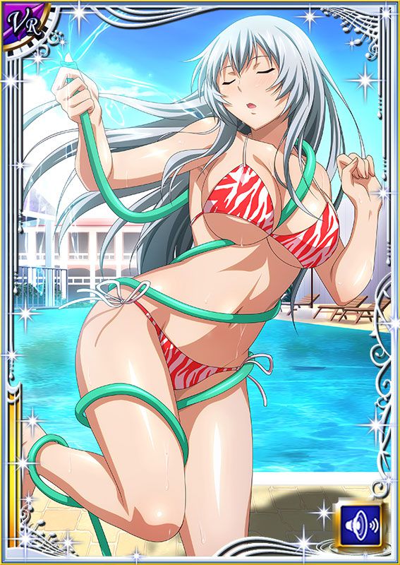 Ikkitousen Cards Coleccyion  Chou-un Shiryuu set 287