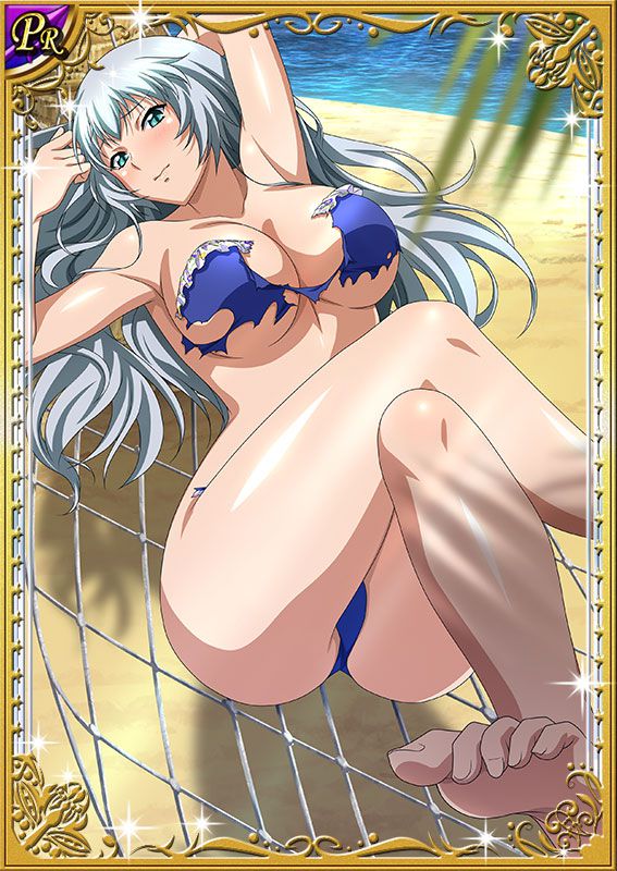 Ikkitousen Cards Coleccyion  Chou-un Shiryuu set 320