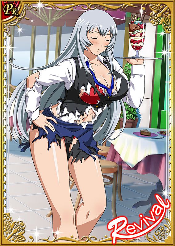 Ikkitousen Cards Coleccyion  Chou-un Shiryuu set 343